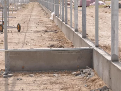 BİR SERA HİKAYESİ 