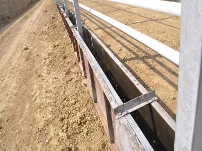 BİR SERA HİKAYESİ 