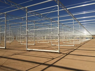 BİR SERA HİKAYESİ 