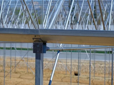 BİR SERA HİKAYESİ 