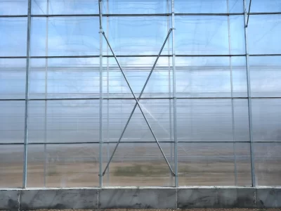 BİR SERA HİKAYESİ 