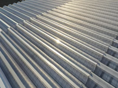 BİR SERA HİKAYESİ 