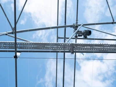 BİR SERA HİKAYESİ 