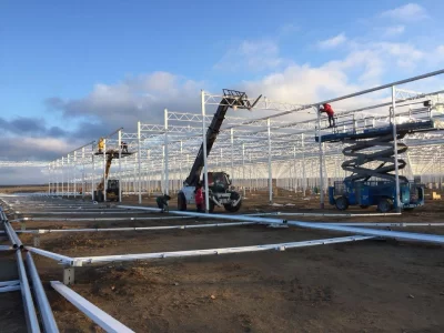 BİR SERA HİKAYESİ 