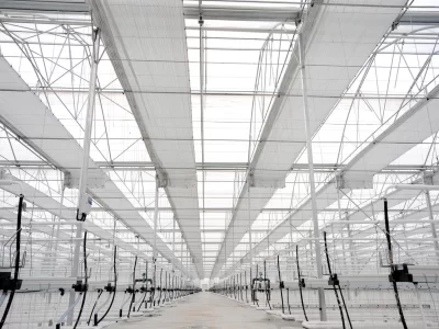 BİR SERA HİKAYESİ 