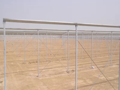 BİR SERA HİKAYESİ 