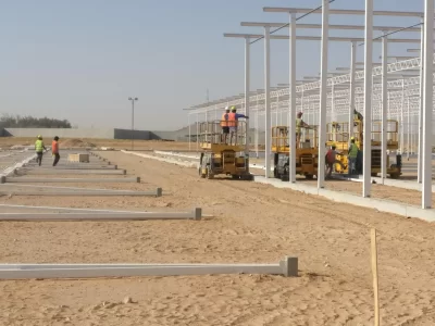 BİR SERA HİKAYESİ 