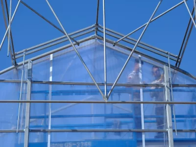 BİR SERA HİKAYESİ 