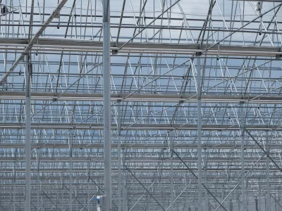 BİR SERA HİKAYESİ 