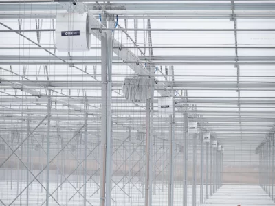 BİR SERA HİKAYESİ 