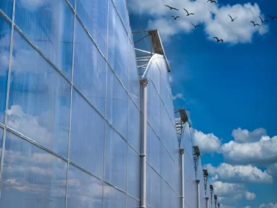 BİR SERA HİKAYESİ 