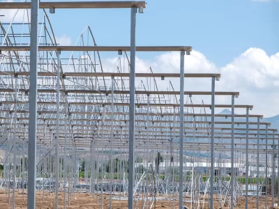 BİR SERA HİKAYESİ 