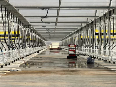 BİR SERA HİKAYESİ 