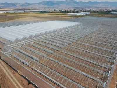 BİR SERA HİKAYESİ 