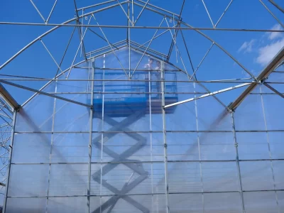 BİR SERA HİKAYESİ 