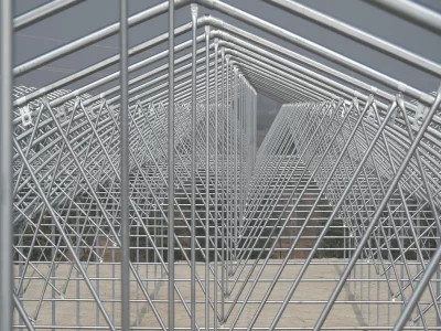 BİR SERA HİKAYESİ 