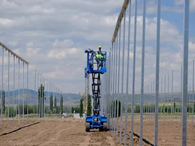 BİR SERA HİKAYESİ 