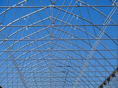 BİR SERA HİKAYESİ 