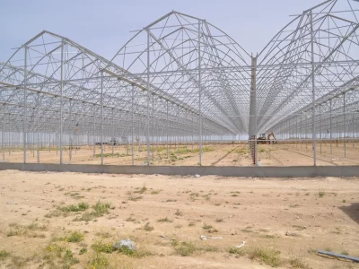 BİR SERA HİKAYESİ 