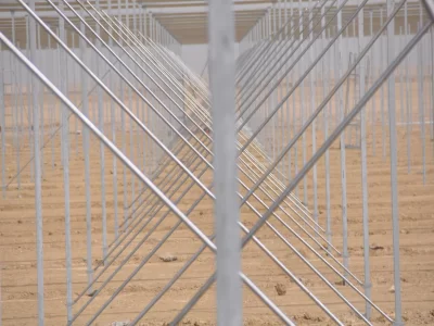 BİR SERA HİKAYESİ 