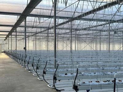 BİR SERA HİKAYESİ 