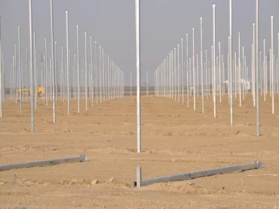 BİR SERA HİKAYESİ 