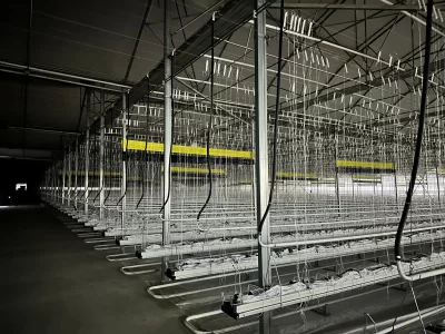 BİR SERA HİKAYESİ 