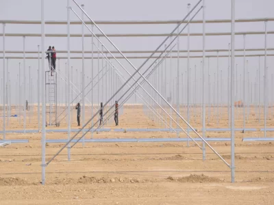 BİR SERA HİKAYESİ 