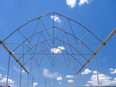 BİR SERA HİKAYESİ 