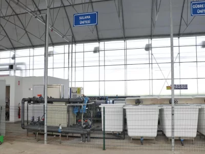 BİR SERA HİKAYESİ 