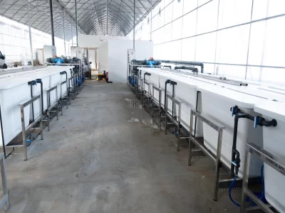 BİR SERA HİKAYESİ 