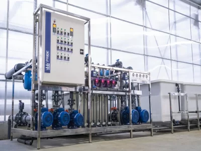 BİR SERA HİKAYESİ 