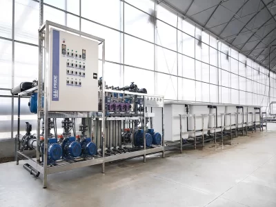 BİR SERA HİKAYESİ 