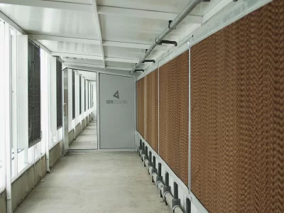 BİR SERA HİKAYESİ 