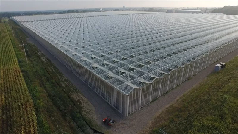 BİR SERA HİKAYESİ 